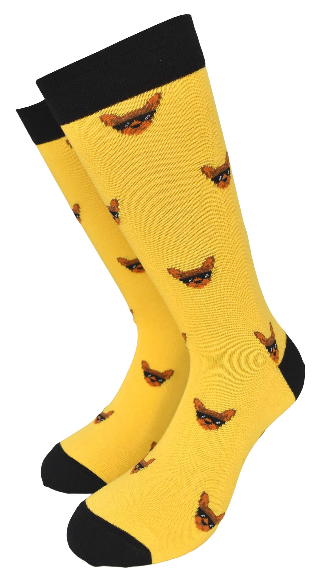 Calze Fantasia "Chiuahua" Unisex Oro Linea Funny - Cod. GC14