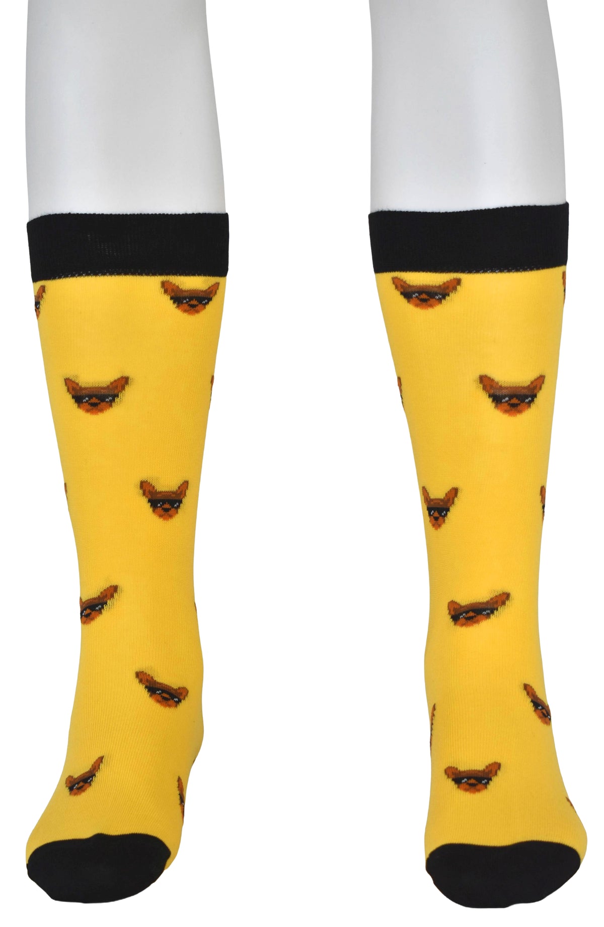 Calze Fantasia "Chiuahua" Unisex Oro Linea Funny - Cod. GC14